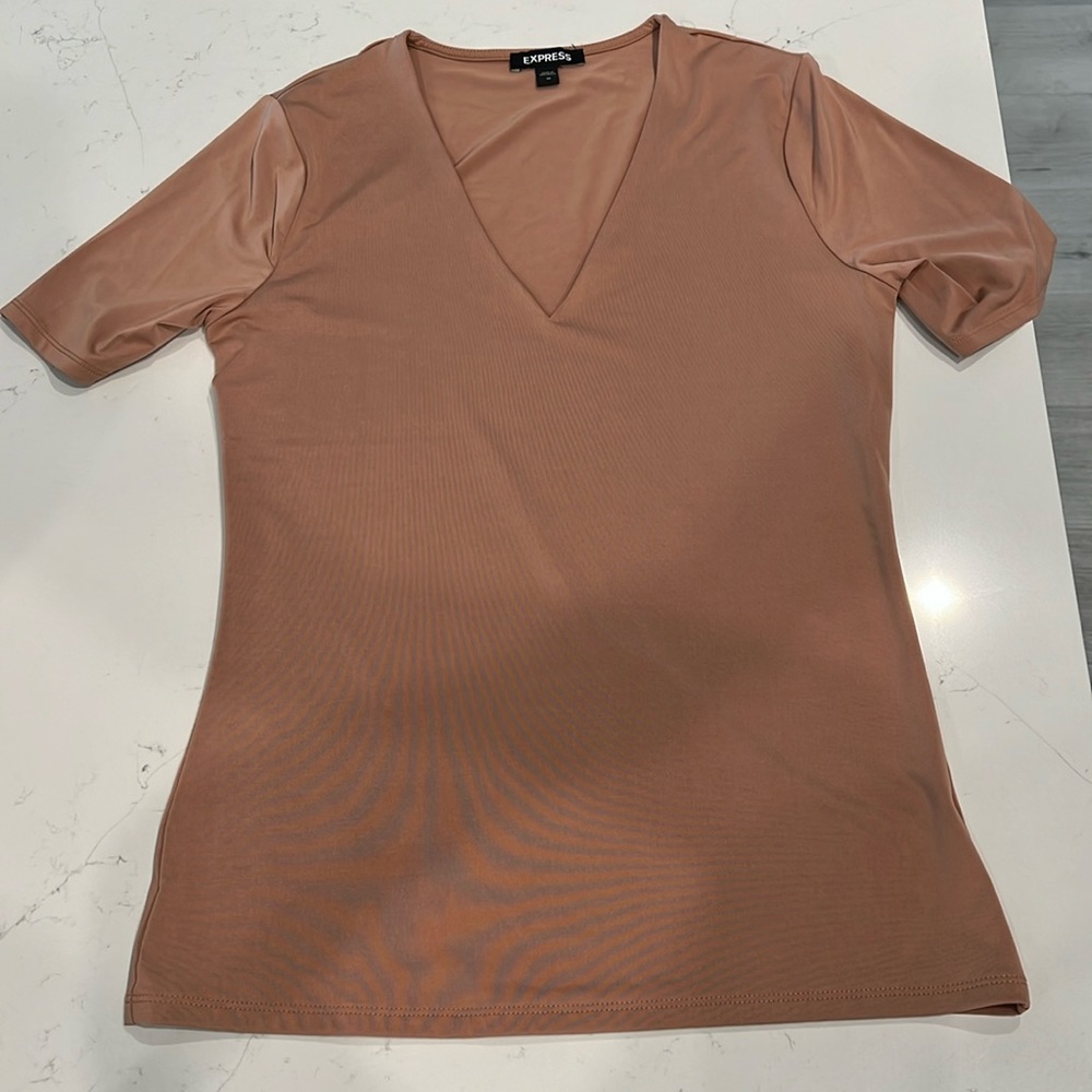 NWOT Express Sliky VNeck Top
